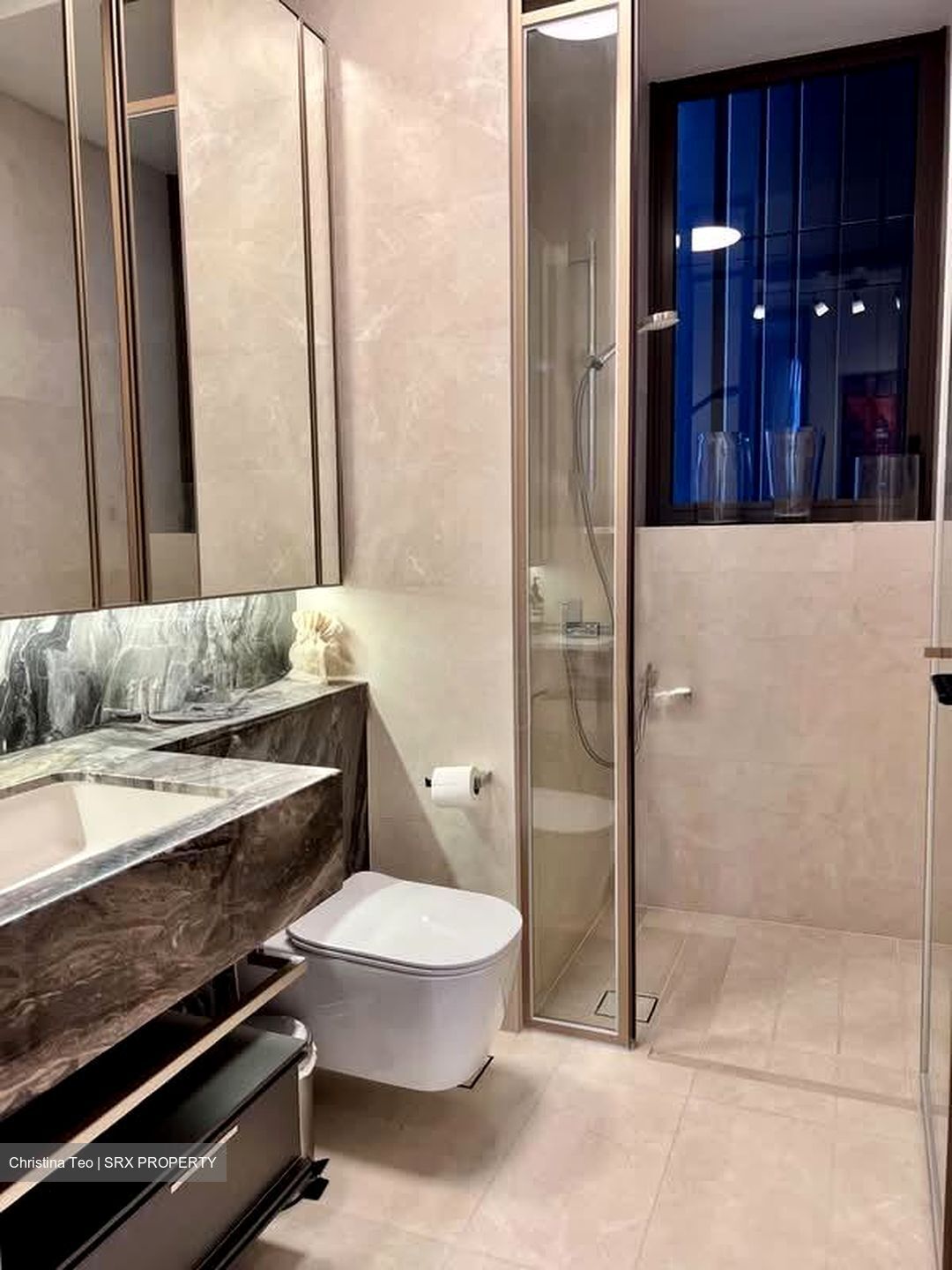 The Avenir (D9), Condominium #562448371
